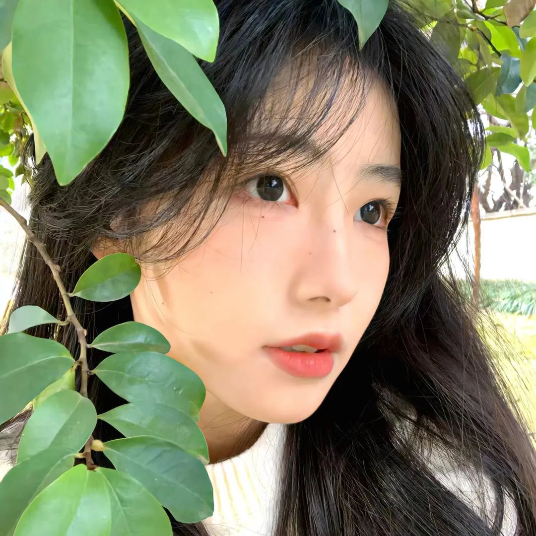 攻略三年十一月，系统却说对象搞错了！